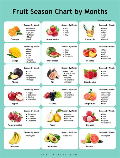 Fruit Season Chart By Month