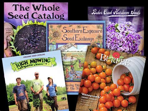 Fruit Seed Catalog