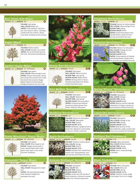 Fruit Tree Catalog