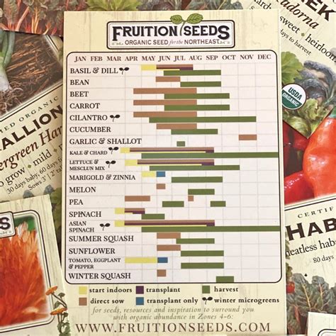 Fruition Seeds Catalog