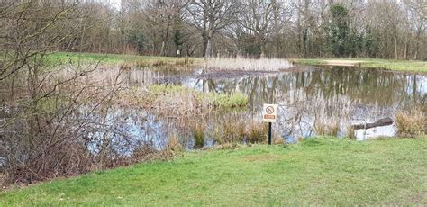 Fryent Country Park