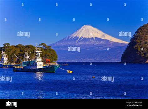 Fuji Porto