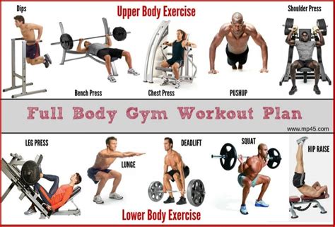 Full Body Gym