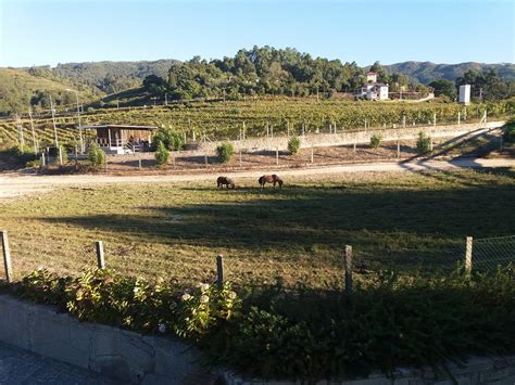 Funileiro Amares