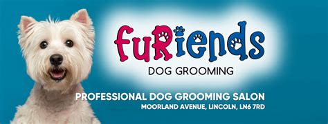 Furiends Dog Grooming