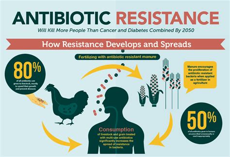 Future of antibiotic resistance