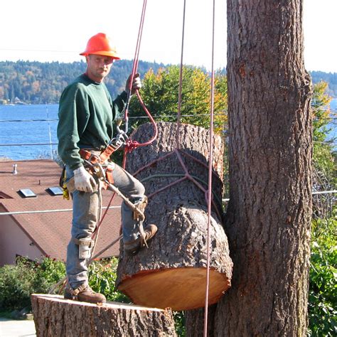 G.Anderson Tree Services