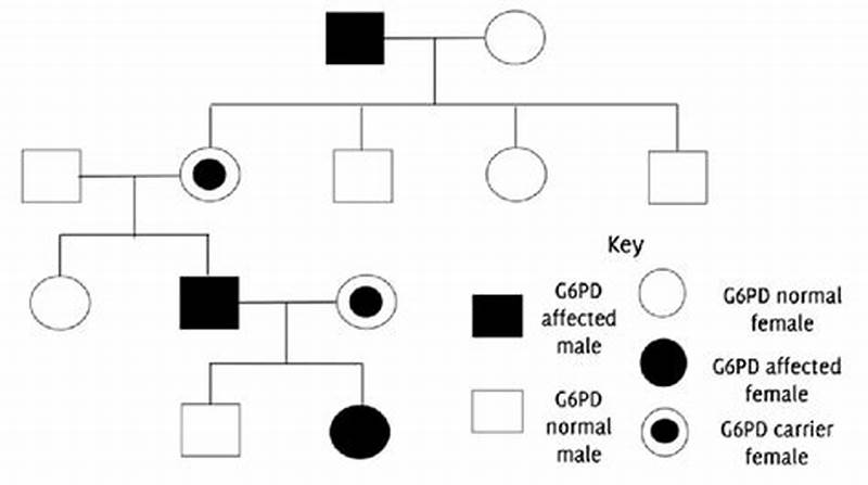 G6pd Inheritance Pattern