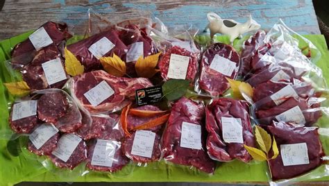 GAEC THIBAULT ROCHE à Champlitte