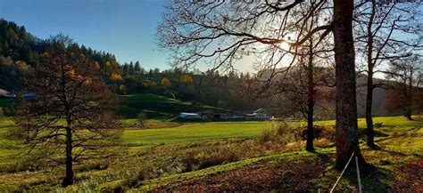 GAEC du Haut des Hayes à Basse-sur-le-Rupt