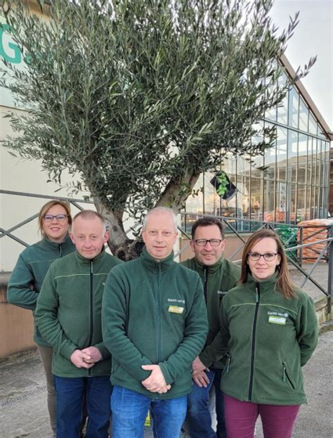 GAMM VERT à Licques