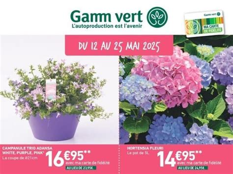 GAMM VERT à Brignais