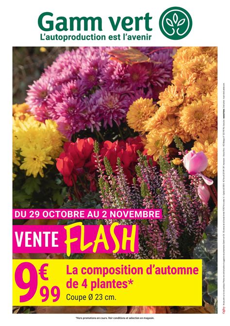 GAMM VERT à Brioude