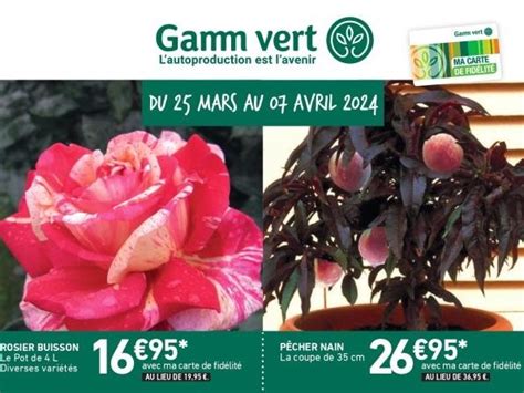 GAMM VERT à Feurs