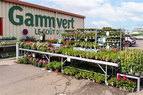 GAMM VERT à Le Vigen