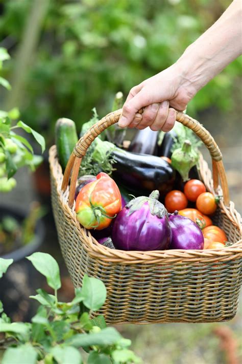 GAMM VERT à Montbrison