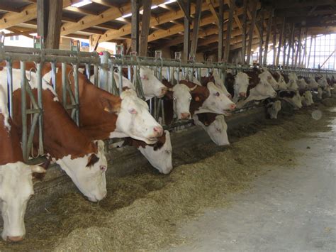 Gaec Barras à Ronno