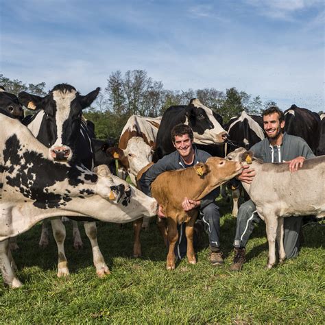 Gaec Des Chabannes à Cusset