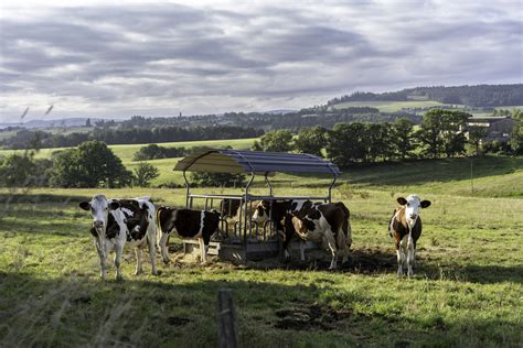 Gaec Forys à Cussac