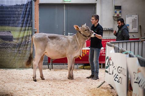 Gaec Martin à Grandrieu