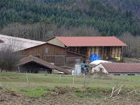 Gaec Multiporc à Montilliers