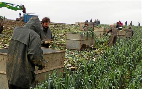 Gaec de Botven à Langonnet