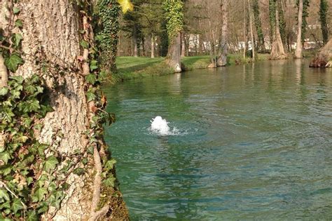Galeone à Vermenton