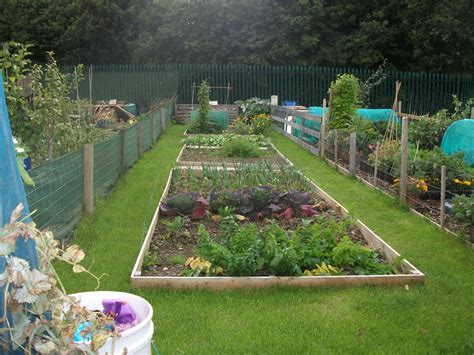 Garden Allotment