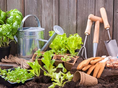 Gardening & Home Help 4 You