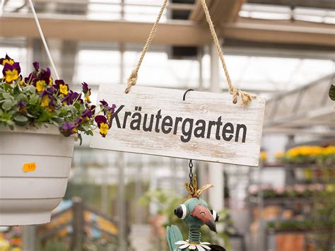 Gartencenter Brenke Blumen Pflanzen Fachmarkt