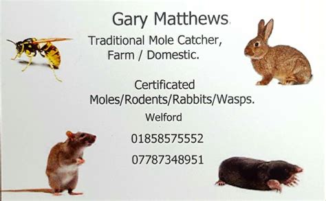 Gary Matthews, Mole/Wasp/Ant/Rodent Control+Drain survey.(Near me)