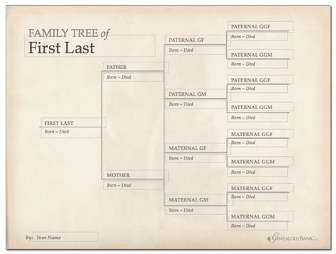 Genealogy Tree Template Free