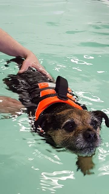 Genesis Canine Hydrotherapy Clinic