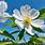 Georgia-State-Flower