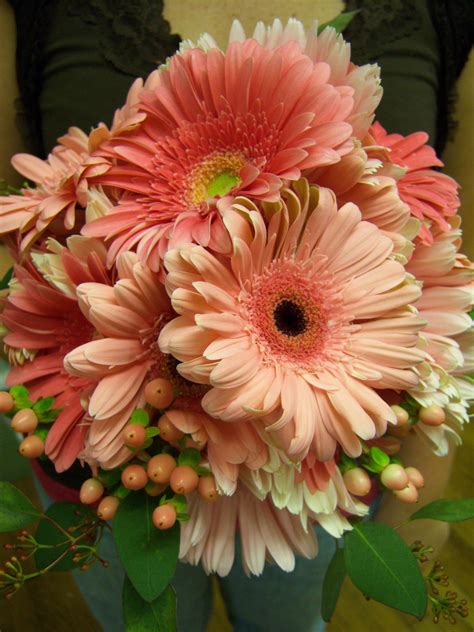 Gerbera-Daisy-Bouquet
