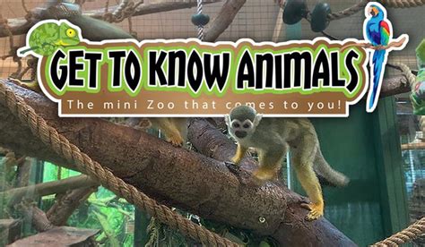 Get to know Animals LTD