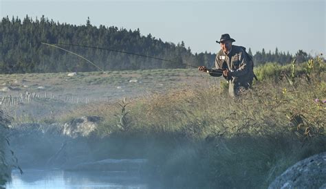 Gimenez Michel à Frontignan