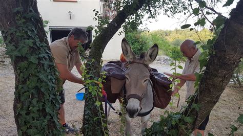 Gite mango à Lalbenque