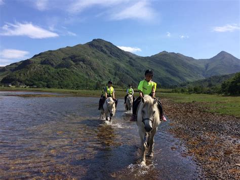 Glenshiel Highland Pony Trekking Centre