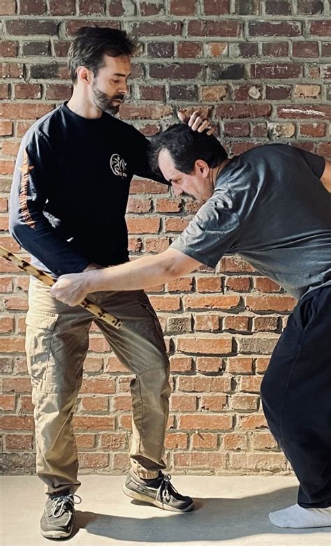 Global Systema Maisons-Laffitte à Maisons-Laffitte