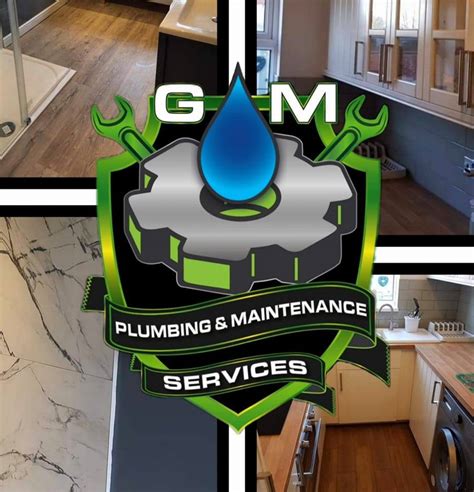 Gmplumbing and property maintenance Services