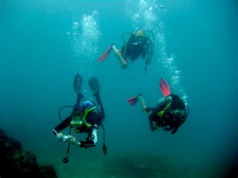 Goa Diving