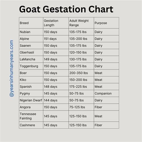 Goat Gestation Period Chart