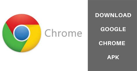 Google Chrome Bro… 