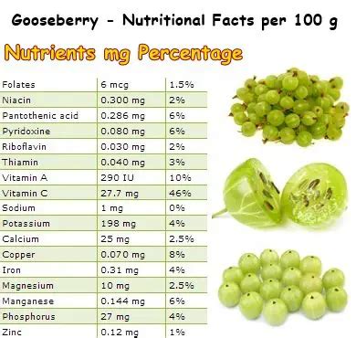 Gooseberry Nutrition Chart