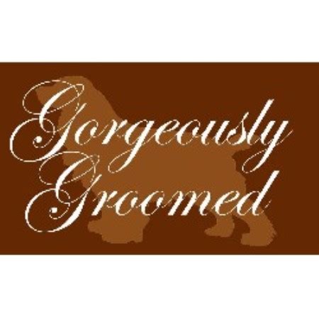 Gorgeously Groomed Dog Groomers