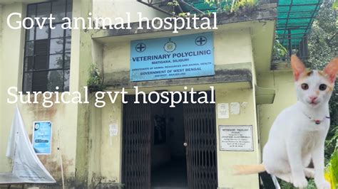 Govt. Animal Hospital Panihari
