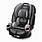 Graco All In One Car Seat
