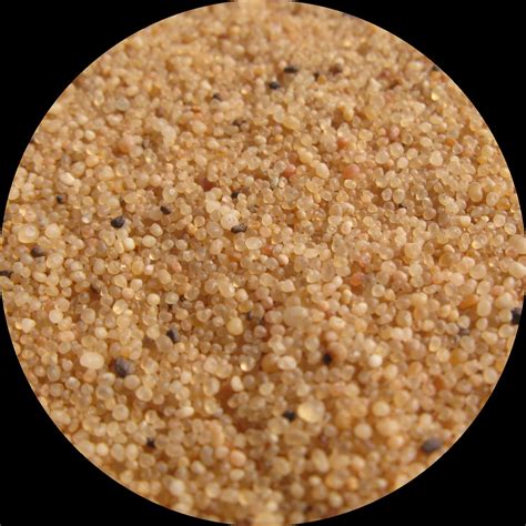 Grain de Sable à L'Île-Rousse