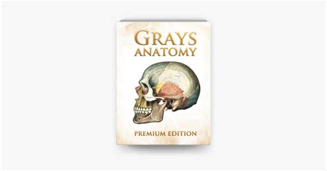 ### Download Pdf Grays Anatomy Premium Edition Books